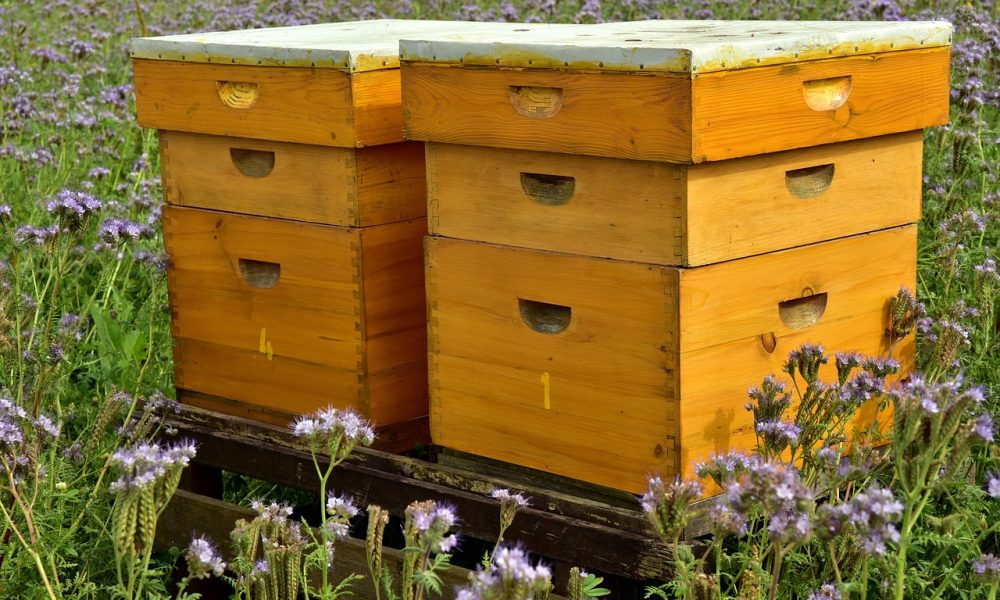 Beehives