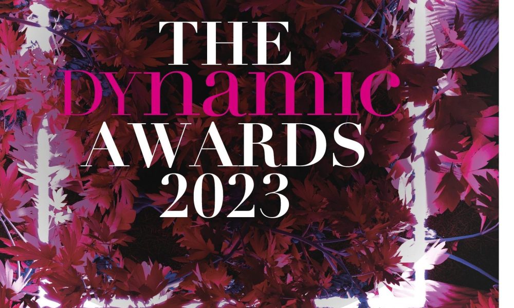 Dynamic Business Award FINALIST logo 2023