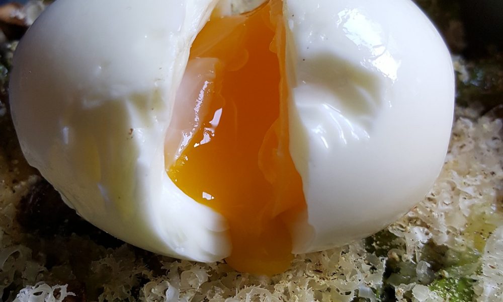 What needs to change before COP27? Rose Media Group